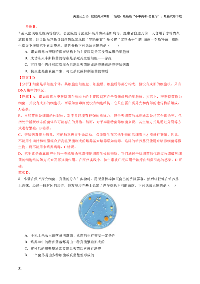 主题二生物的多样性（讲练）（解析版）_02中考总复习（2026版更新中）_08-生物-中考总复习_2025中考复习资料_2025中考二轮课件ppt+讲义+练习生物_讲义+练习_719