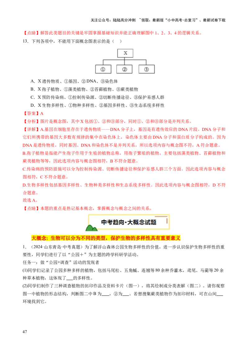 主题二生物的多样性（讲练）（解析版）_02中考总复习（2026版更新中）_08-生物-中考总复习_2025中考复习资料_2025中考二轮课件ppt+讲义+练习生物_讲义+练习_719