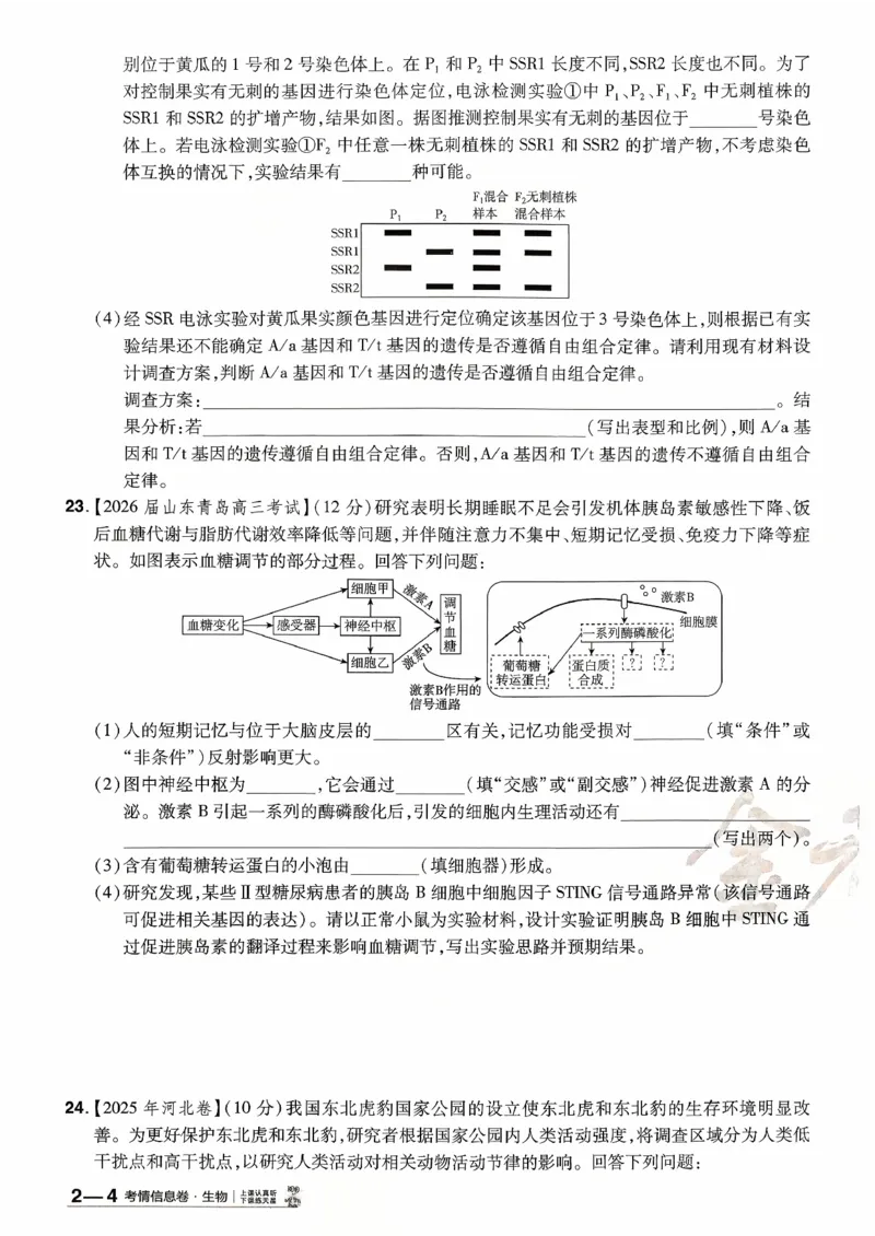 2026金考卷百校联盟高考领航卷生物试卷二（新教材不定项选择题版）_2026版金考卷&middot;百校联盟高考领航卷（全科）_2026版金考卷&middot;百校联盟高考领航卷生物（单选+不定项）