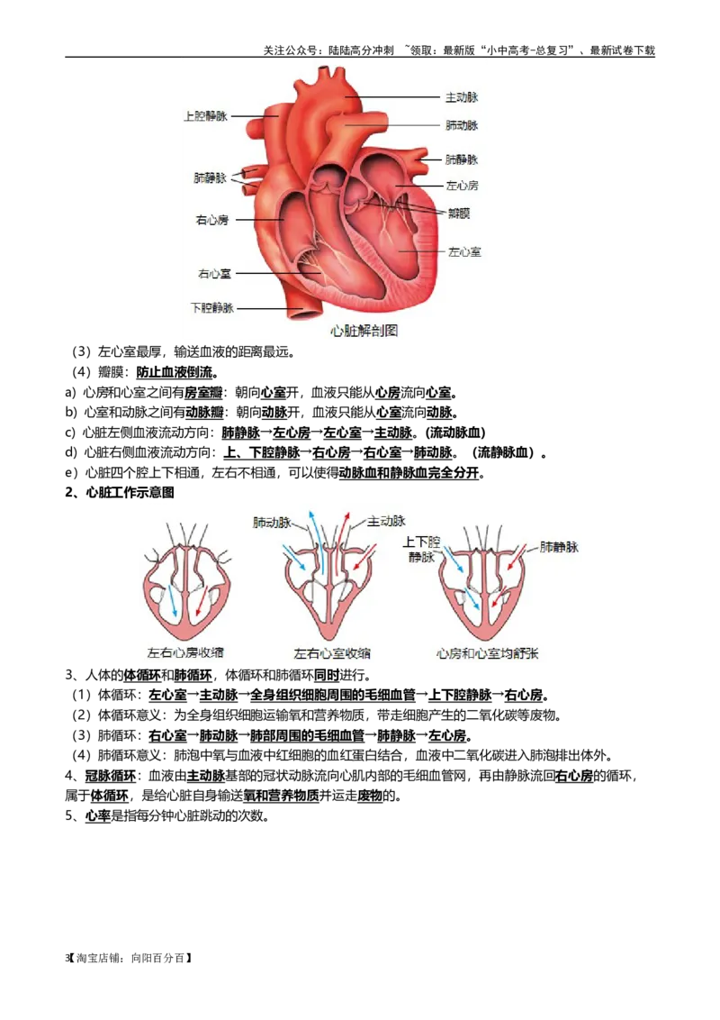 清单06人体内的物质运输与废物排出（6大考点+6大高频命题点）（教师版）_02中考总复习（2026版更新中）_08-生物-中考总复习_2024年中考复习资料_一轮复习_教师版（含答案解析）
