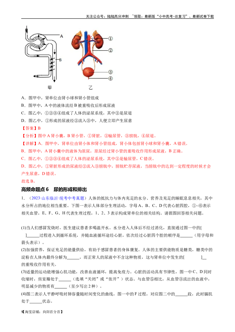 清单06人体内的物质运输与废物排出（6大考点+6大高频命题点）（教师版）_02中考总复习（2026版更新中）_08-生物-中考总复习_2024年中考复习资料_一轮复习_教师版（含答案解析）