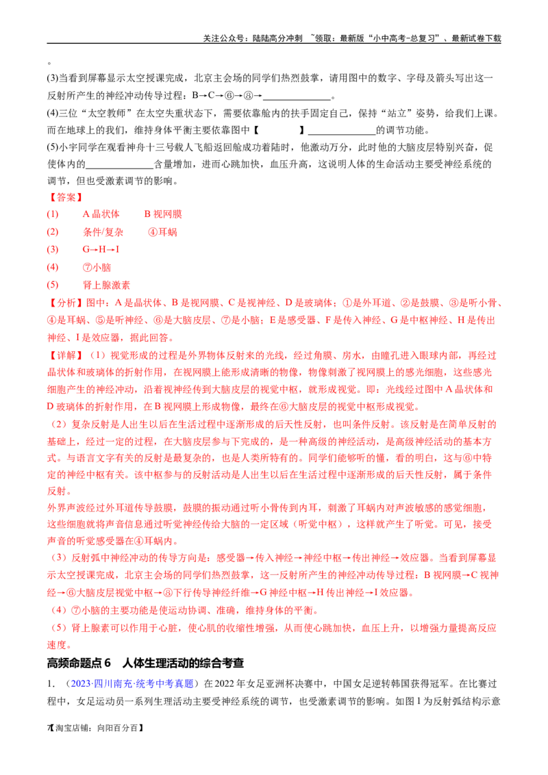 清单07人体生命活动的调节（5大考点+6大高频命题点）（教师版）_02中考总复习（2026版更新中）_08-生物-中考总复习_2024年中考复习资料_一轮复习_教师版（含答案解析）