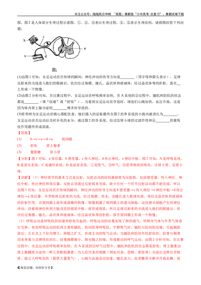 清单07人体生命活动的调节（5大考点+6大高频命题点）（教师版）_02中考总复习（2026版更新中）_08-生物-中考总复习_2024年中考复习资料_一轮复习_教师版（含答案解析）