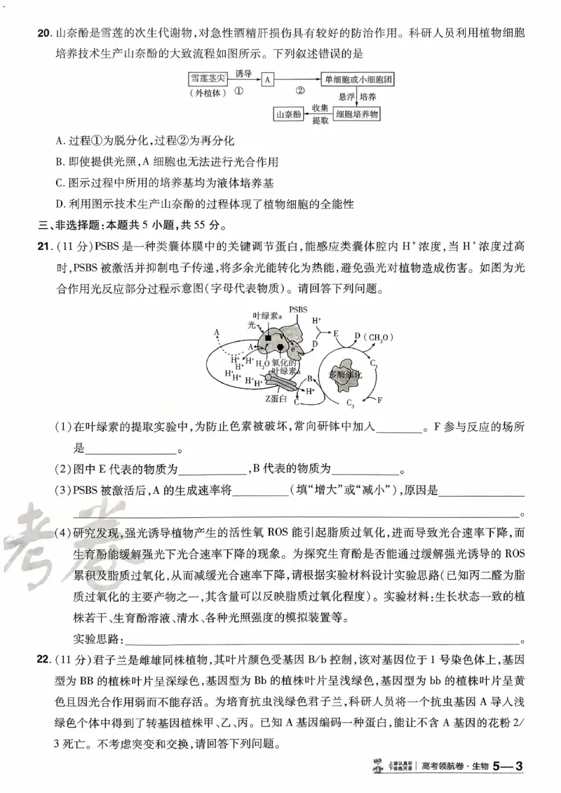 2026金考卷百校联盟高考领航卷生物试卷五（新教材不定项选择题版）_2026版金考卷&middot;百校联盟高考领航卷（全科）_2026版金考卷&middot;百校联盟高考领航卷生物（单选+不定项）