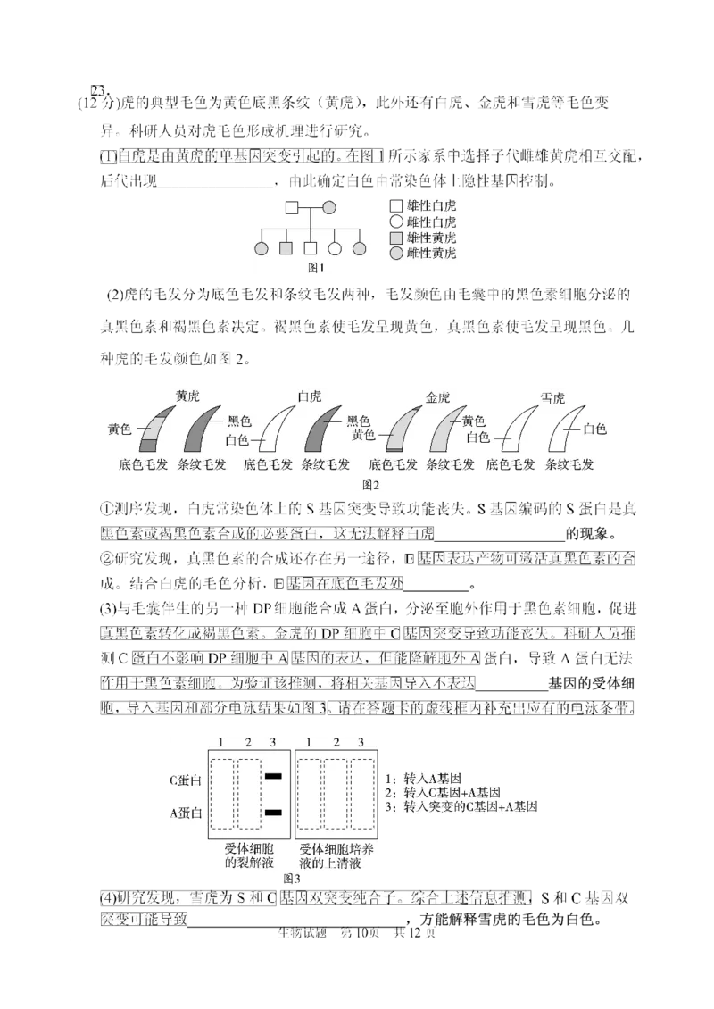 山东省实验中学2025届高三第三次诊断考试生物试题_A1502026各地模拟卷（超值！）_12月_241214山东省实验中学2025届高三第三次诊断考试_山东省实验中学2025届高三第三次诊断考试生物