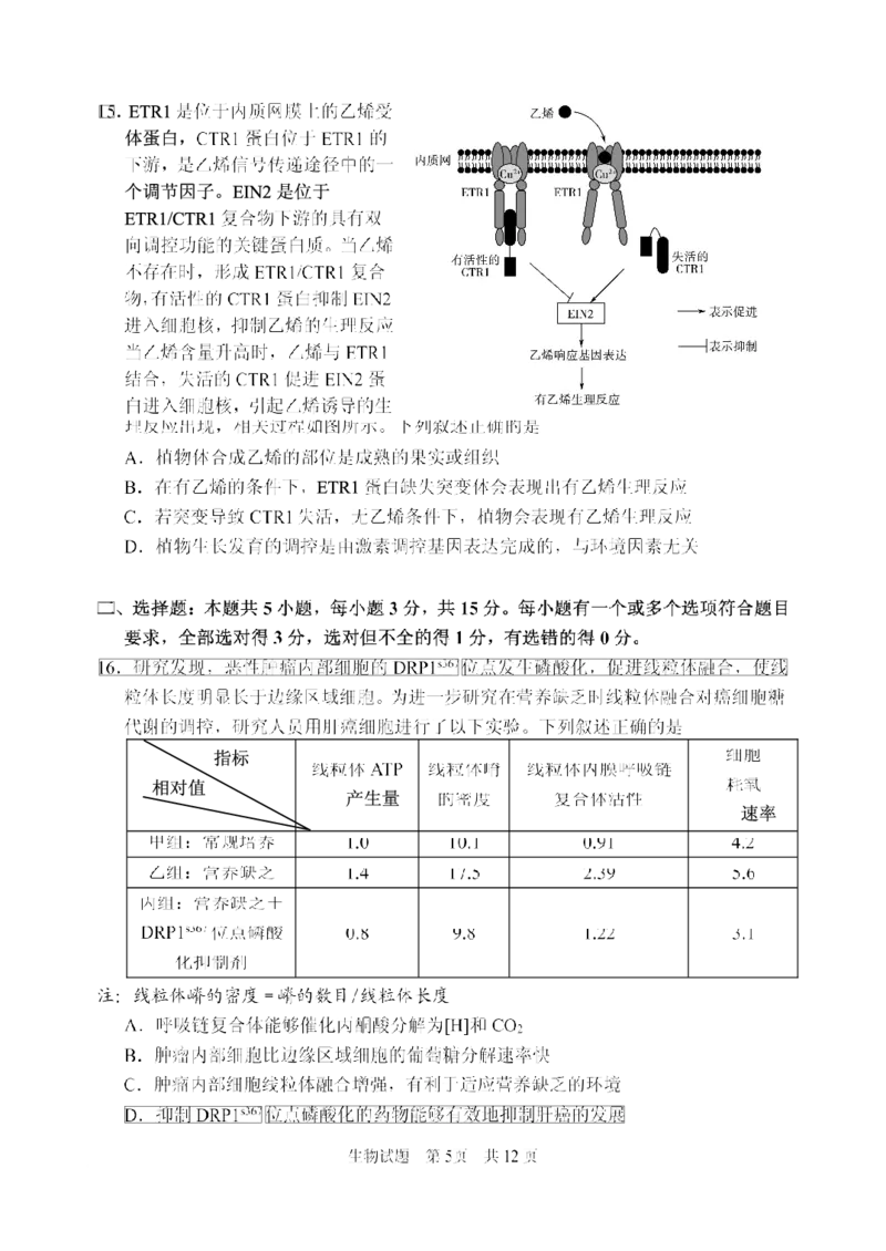 山东省实验中学2025届高三第三次诊断考试生物试题_A1502026各地模拟卷（超值！）_12月_241214山东省实验中学2025届高三第三次诊断考试_山东省实验中学2025届高三第三次诊断考试生物