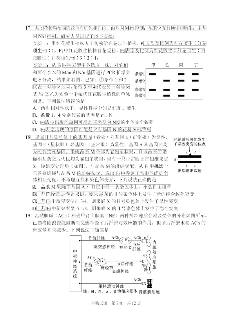 山东省实验中学2025届高三第三次诊断考试生物试题_A1502026各地模拟卷（超值！）_12月_241214山东省实验中学2025届高三第三次诊断考试_山东省实验中学2025届高三第三次诊断考试生物