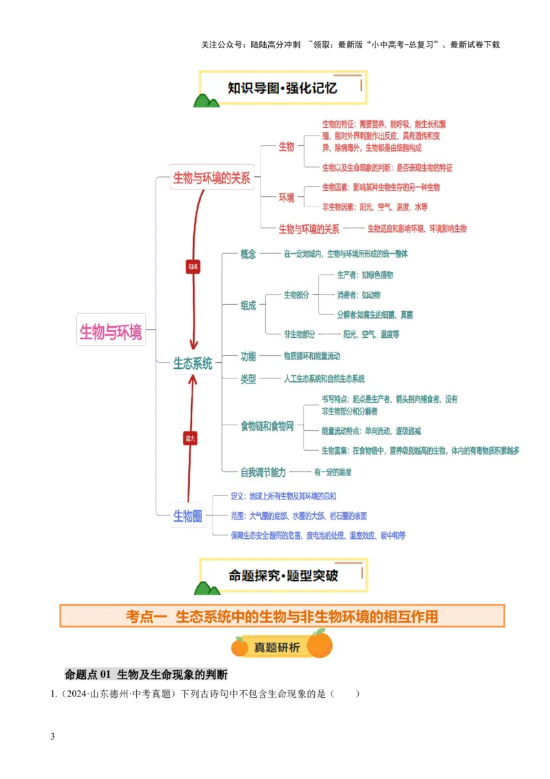 主题三生物与环境（讲练）（解析版）_02中考总复习（2026版更新中）_08-生物-中考总复习_2025中考复习资料_2025中考二轮课件ppt+讲义+练习生物_讲义+练习