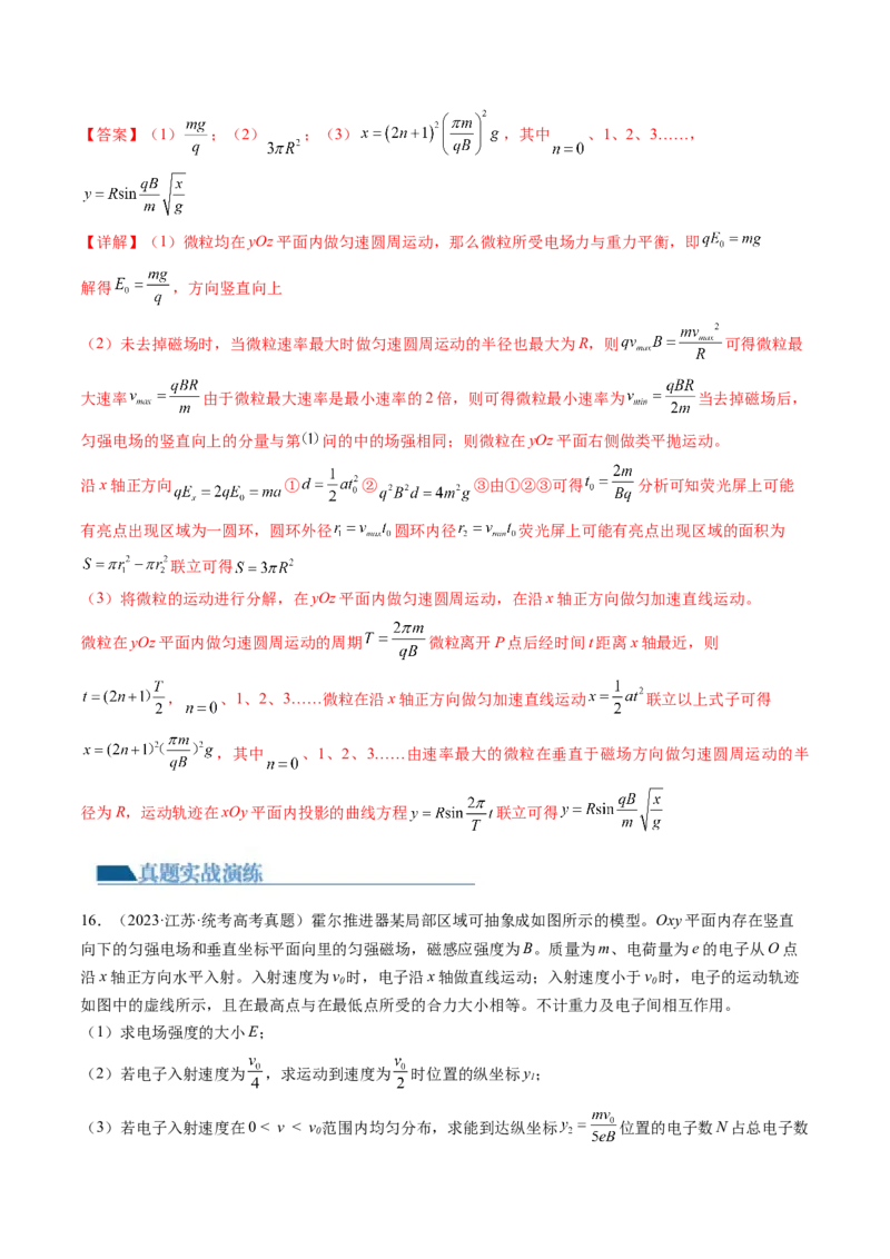 第53讲带电粒子在复合场中的运动（练习）（解析版）_4.2025物理总复习_2024年新高考资料_1.2024一轮复习_2024年高考物理一轮复习讲练测（新教材新高考）