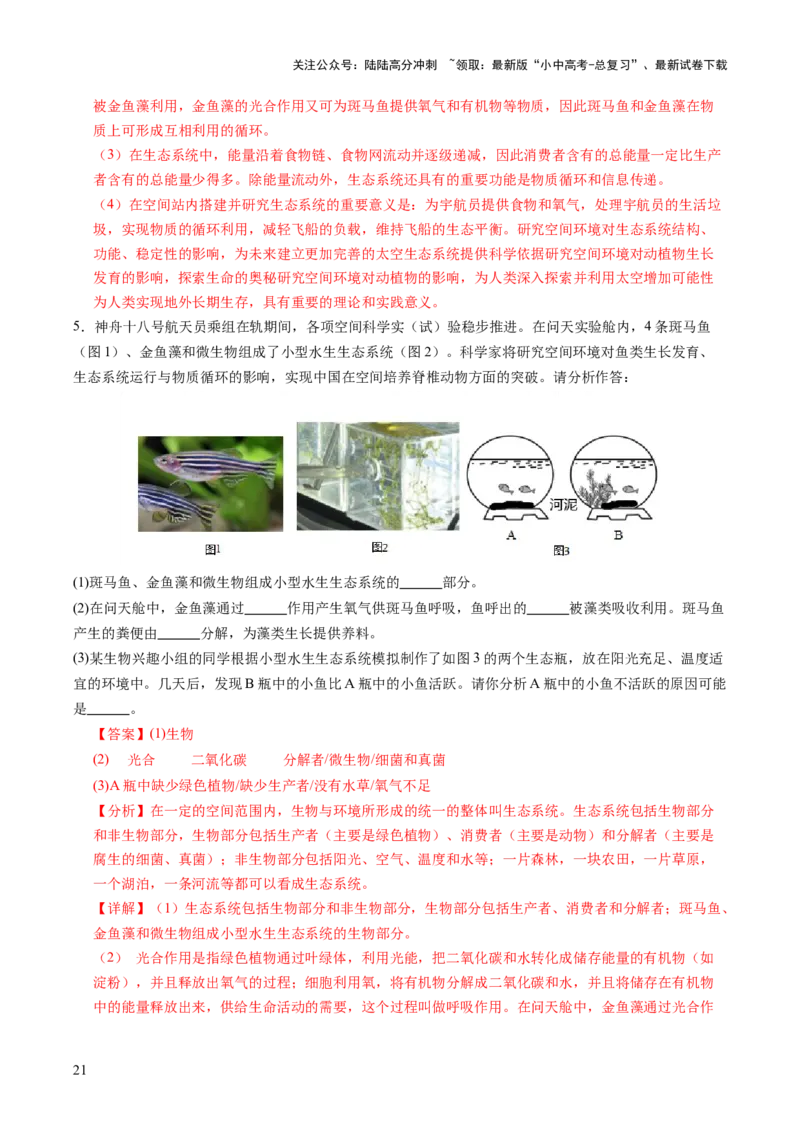 主题七生物学与社会.跨学科实践（讲练）（解析版）_02中考总复习（2026版更新中）_08-生物-中考总复习_2025中考复习资料_2025中考二轮课件ppt+讲义+练习生物_讲义+练习