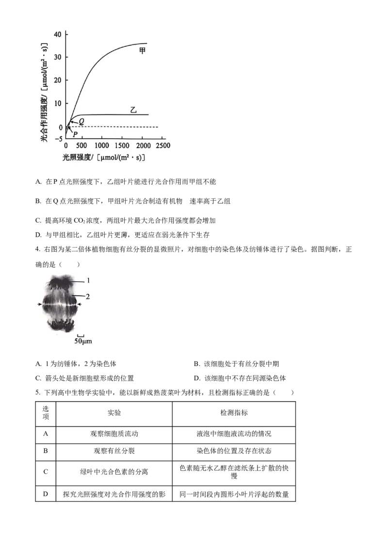 北京市朝阳区2024-2025学年高三上学期11月期中生物试题Word版无答案_A1502026各地模拟卷（超值！）_11月_241115北京市朝阳区2024-2025学年高三上学期期中考试（全科）