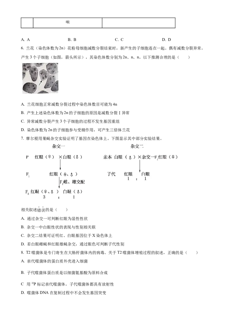 北京市朝阳区2024-2025学年高三上学期11月期中生物试题Word版无答案_A1502026各地模拟卷（超值！）_11月_241115北京市朝阳区2024-2025学年高三上学期期中考试（全科）