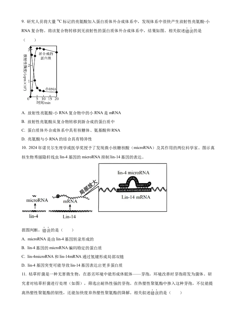 北京市朝阳区2024-2025学年高三上学期11月期中生物试题Word版无答案_A1502026各地模拟卷（超值！）_11月_241115北京市朝阳区2024-2025学年高三上学期期中考试（全科）