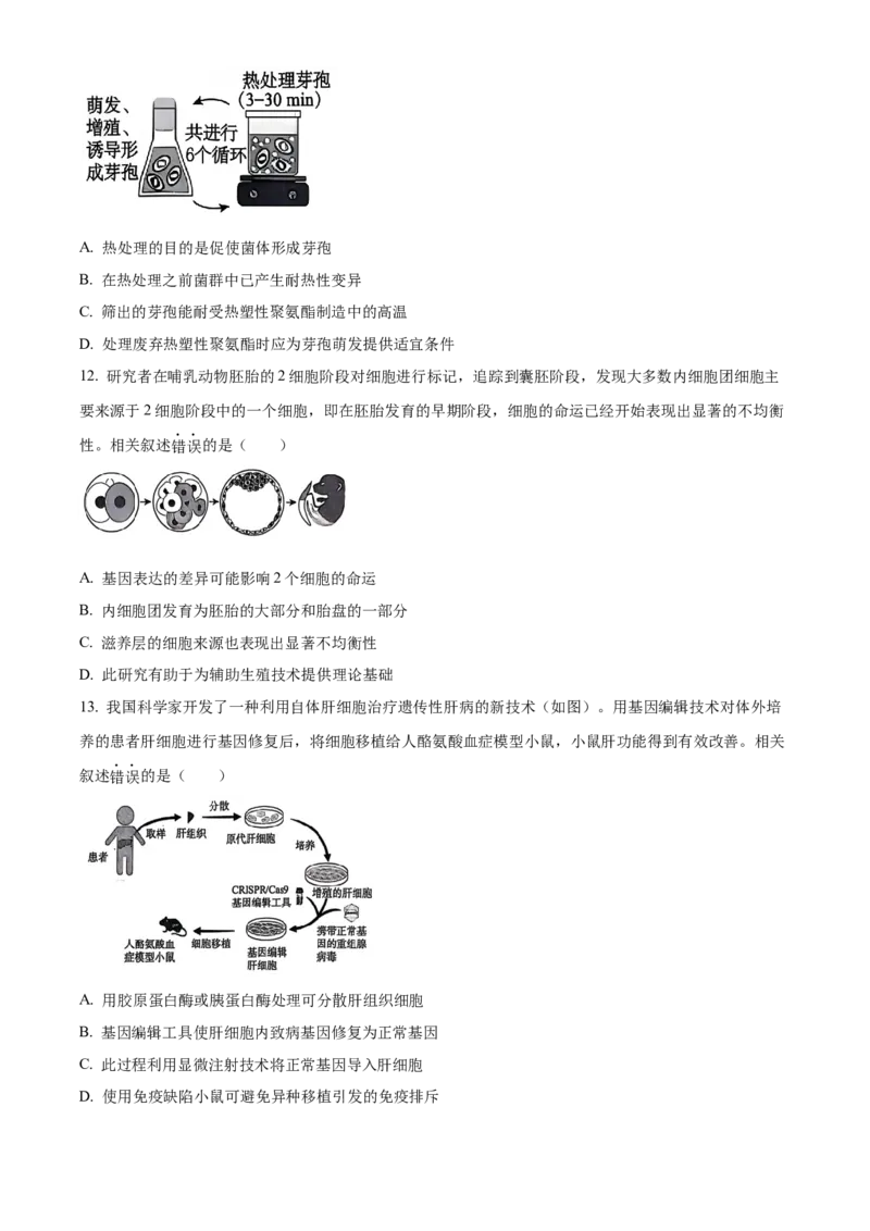 北京市朝阳区2024-2025学年高三上学期11月期中生物试题Word版无答案_A1502026各地模拟卷（超值！）_11月_241115北京市朝阳区2024-2025学年高三上学期期中考试（全科）