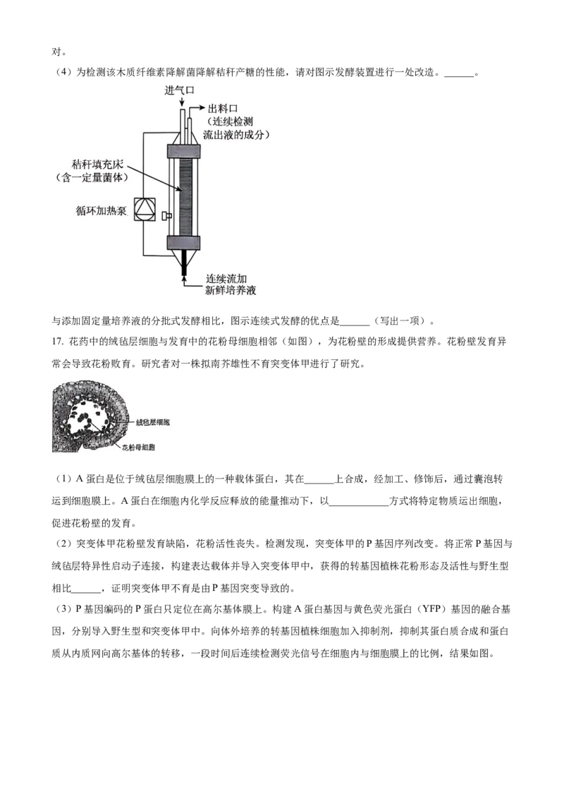 北京市朝阳区2024-2025学年高三上学期11月期中生物试题Word版无答案_A1502026各地模拟卷（超值！）_11月_241115北京市朝阳区2024-2025学年高三上学期期中考试（全科）