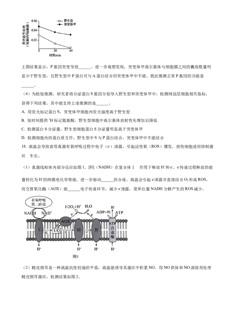 北京市朝阳区2024-2025学年高三上学期11月期中生物试题Word版无答案_A1502026各地模拟卷（超值！）_11月_241115北京市朝阳区2024-2025学年高三上学期期中考试（全科）