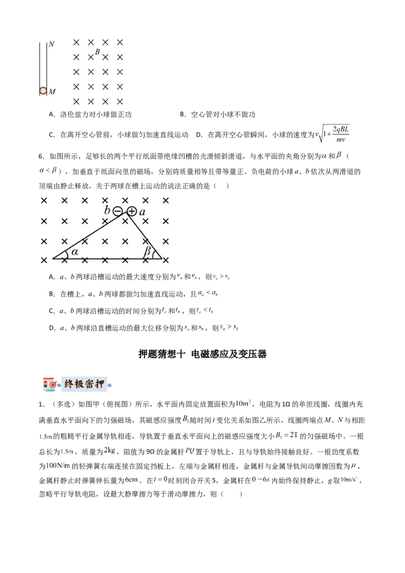 物理（新高考通用）-2024年高考终极押题猜想（原卷版）_4.2025物理总复习_2024年新高考资料_5.2024三轮冲刺_物理-2024年高考终极押题猜想