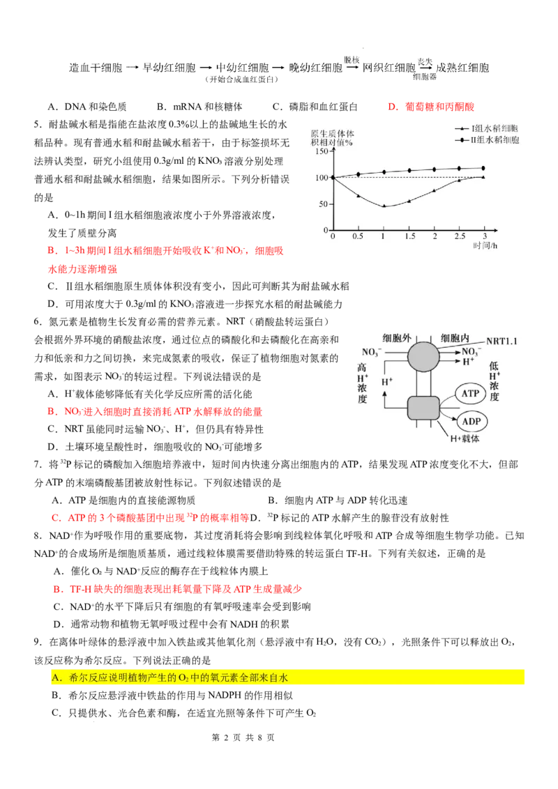 广东省华南师范大学附属中学2024-2024学年高三上学期综合测试（一）生物试题_A1502026各地模拟卷（超值！）_9月_广东省华南师范大学附属中学2024-2024学年高三上学期综合测试（一）生物