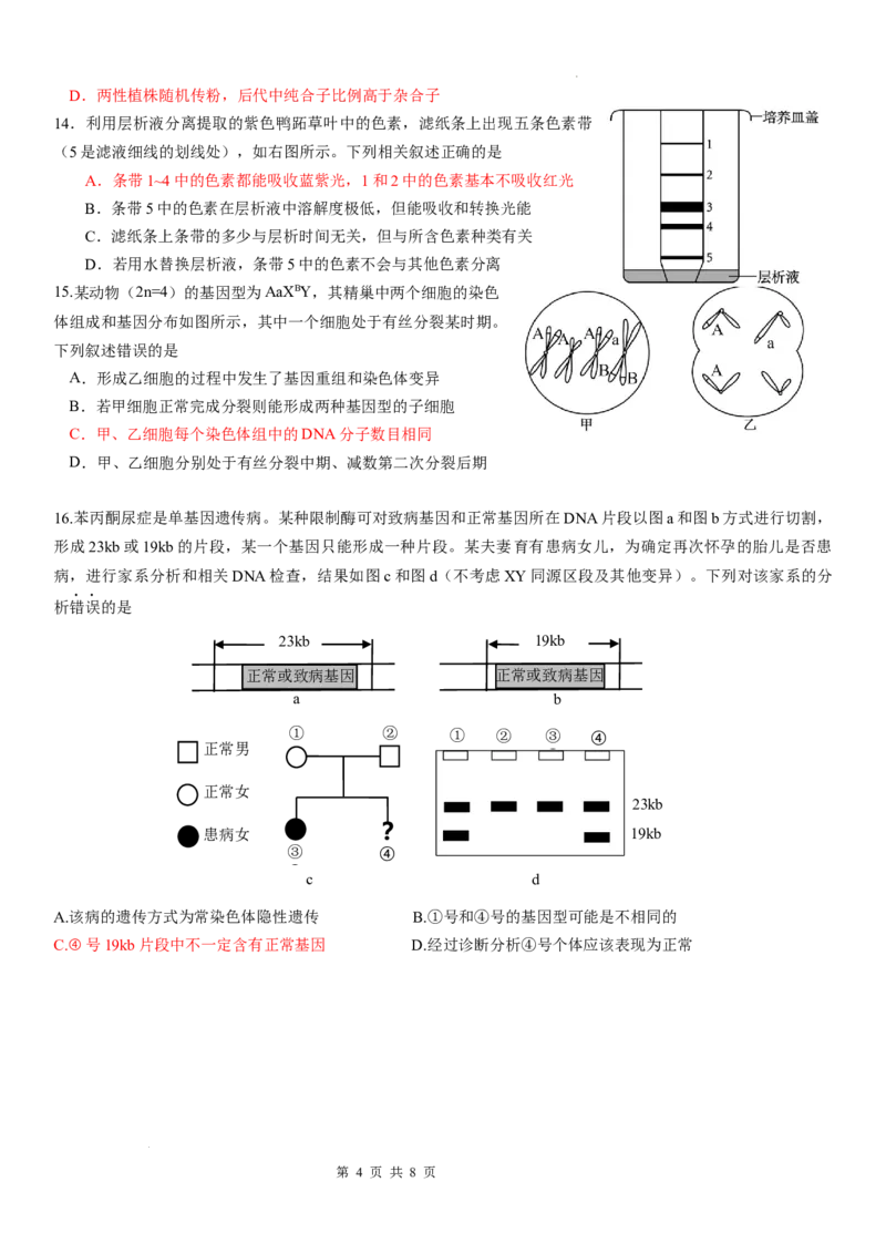 广东省华南师范大学附属中学2024-2024学年高三上学期综合测试（一）生物试题_A1502026各地模拟卷（超值！）_9月_广东省华南师范大学附属中学2024-2024学年高三上学期综合测试（一）生物