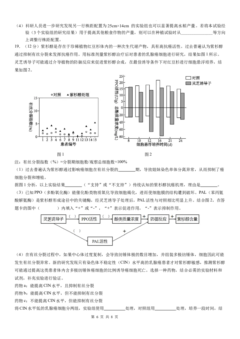 广东省华南师范大学附属中学2024-2024学年高三上学期综合测试（一）生物试题_A1502026各地模拟卷（超值！）_9月_广东省华南师范大学附属中学2024-2024学年高三上学期综合测试（一）生物