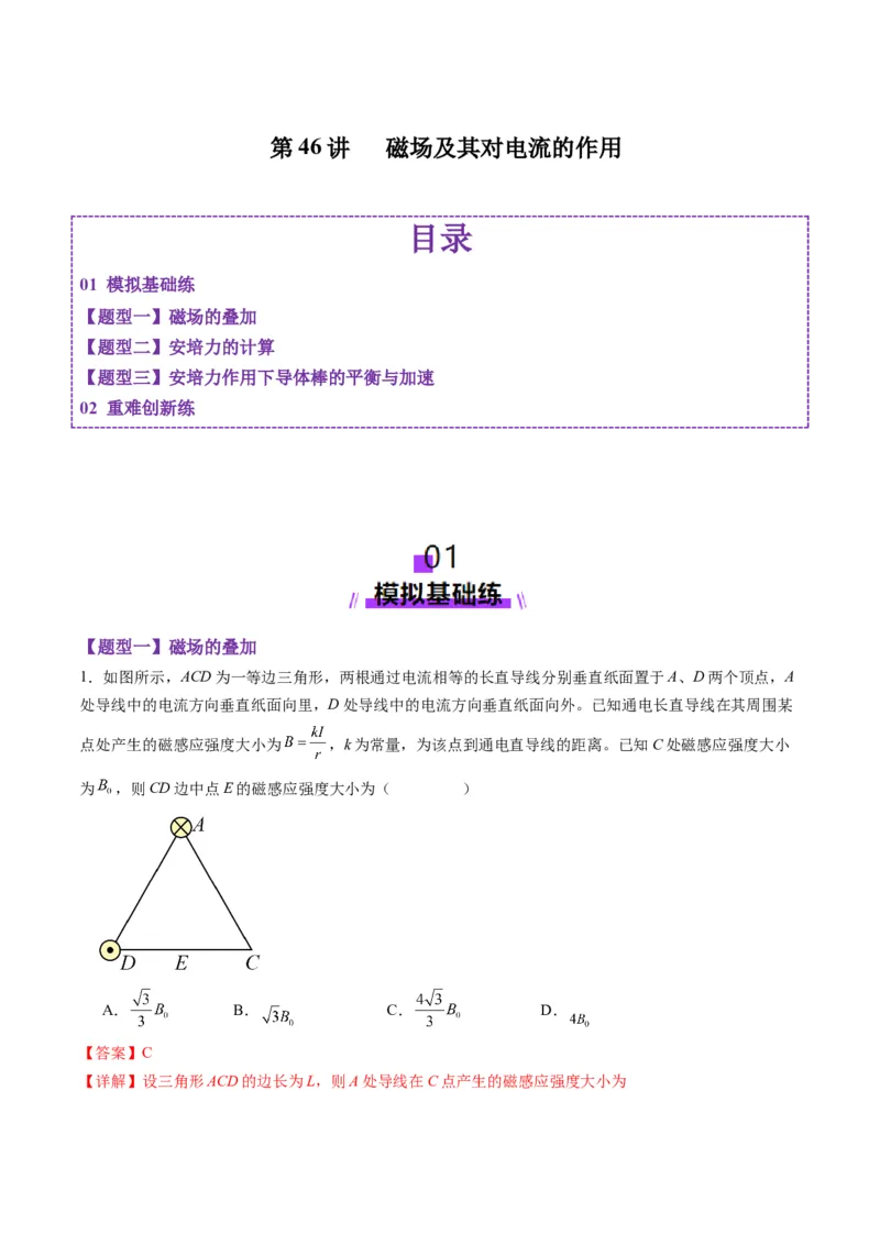 第46讲磁场及其对电流的作用（练习）（解析版）_4.2025物理总复习_2025年新高考资料_一轮复习_2025年高考物理一轮复习讲练测（新教材新高考）