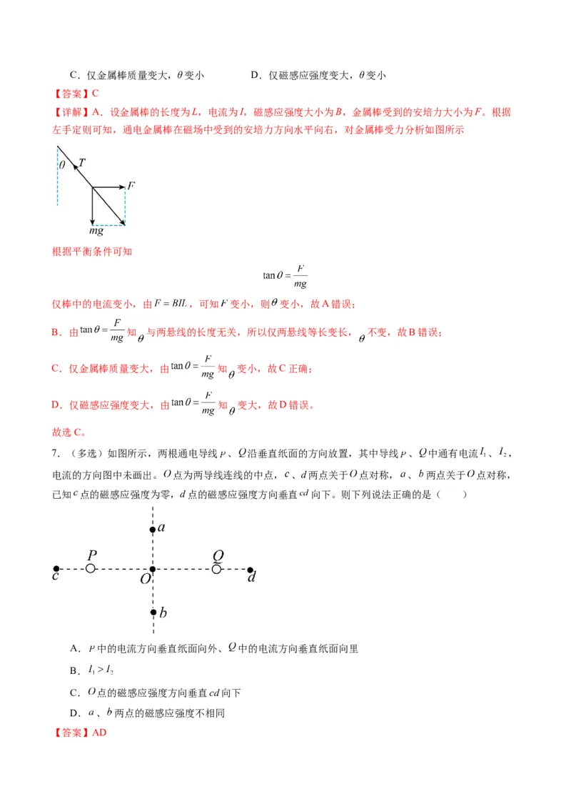 第46讲磁场及其对电流的作用（练习）（解析版）_4.2025物理总复习_2025年新高考资料_一轮复习_2025年高考物理一轮复习讲练测（新教材新高考）
