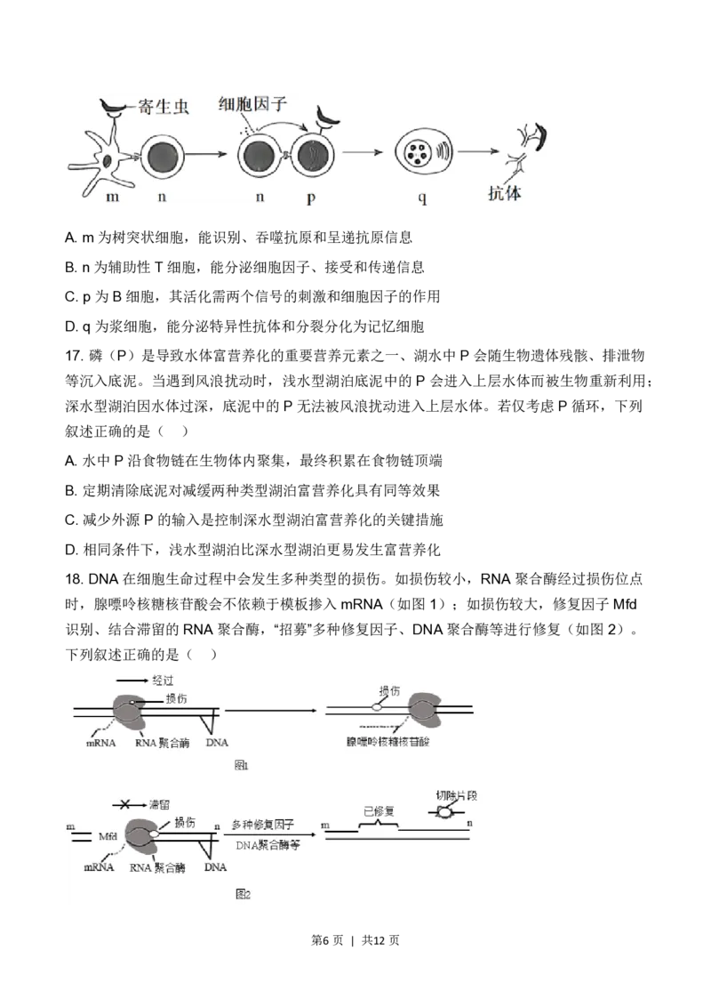 2023年高考生物试卷（辽宁）（空白卷）_A1502026各地模拟卷（超值！）_赠送：2008-2024全套高考真题_高考生物真题_新&middot;PDF版2008-2024&middot;高考生物真题_版本3：生物（按年份分类）2008-2024