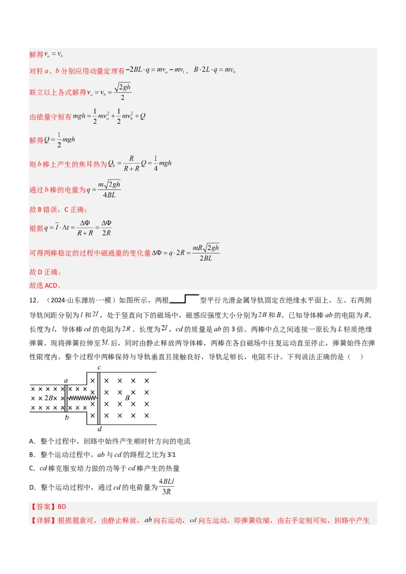 压轴题09电磁感应（解析版）_4.2025物理总复习_2024年新高考资料_5.2024三轮冲刺_2024年高考物理压轴题专项训练（新高考通用）