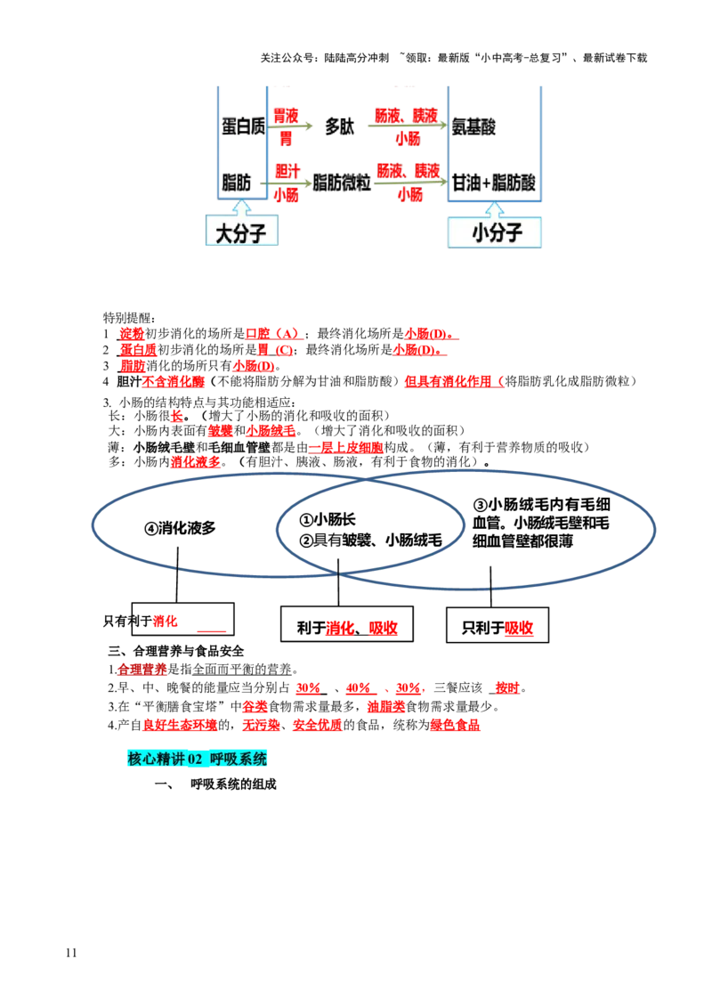 主题五人体生理与健康（讲练）（原卷版）_02中考总复习（2026版更新中）_08-生物-中考总复习_2025中考复习资料_2025中考二轮课件ppt+讲义+练习生物_讲义+练习