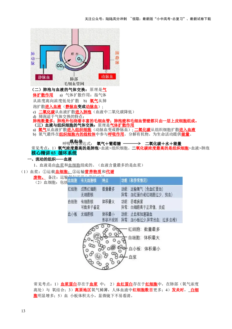 主题五人体生理与健康（讲练）（原卷版）_02中考总复习（2026版更新中）_08-生物-中考总复习_2025中考复习资料_2025中考二轮课件ppt+讲义+练习生物_讲义+练习