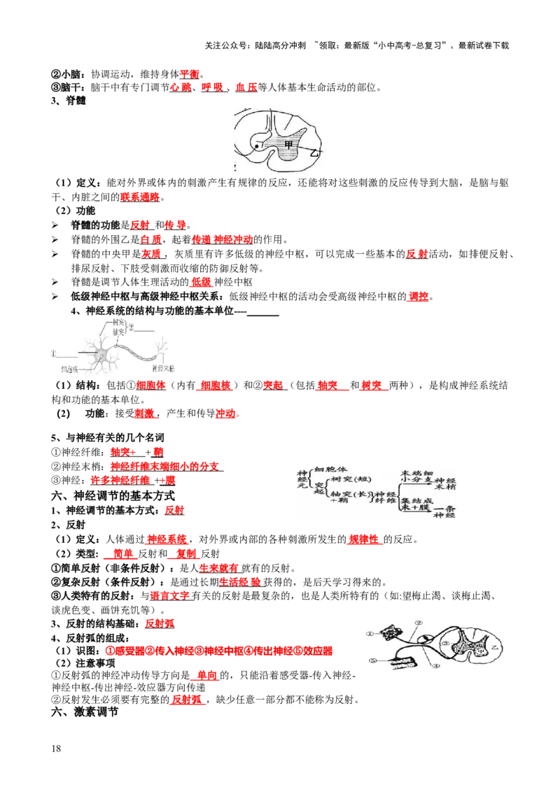 主题五人体生理与健康（讲练）（原卷版）_02中考总复习（2026版更新中）_08-生物-中考总复习_2025中考复习资料_2025中考二轮课件ppt+讲义+练习生物_讲义+练习