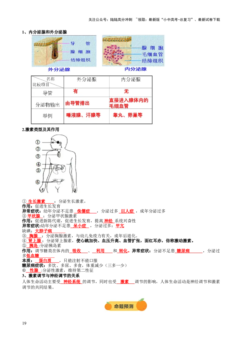 主题五人体生理与健康（讲练）（原卷版）_02中考总复习（2026版更新中）_08-生物-中考总复习_2025中考复习资料_2025中考二轮课件ppt+讲义+练习生物_讲义+练习