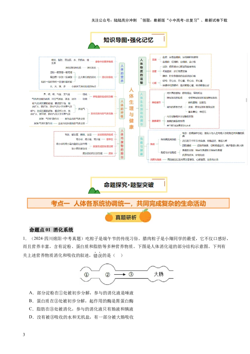 主题五人体生理与健康（讲练）（原卷版）_02中考总复习（2026版更新中）_08-生物-中考总复习_2025中考复习资料_2025中考二轮课件ppt+讲义+练习生物_讲义+练习