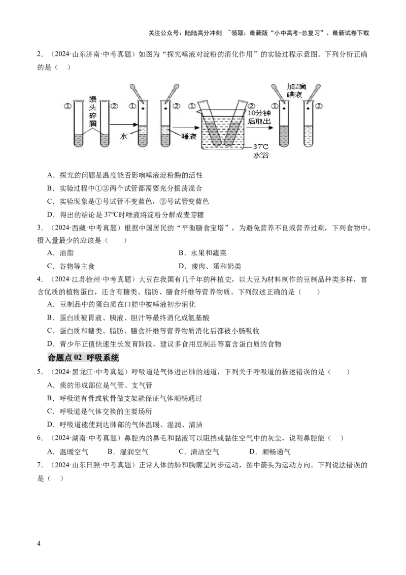 主题五人体生理与健康（讲练）（原卷版）_02中考总复习（2026版更新中）_08-生物-中考总复习_2025中考复习资料_2025中考二轮课件ppt+讲义+练习生物_讲义+练习
