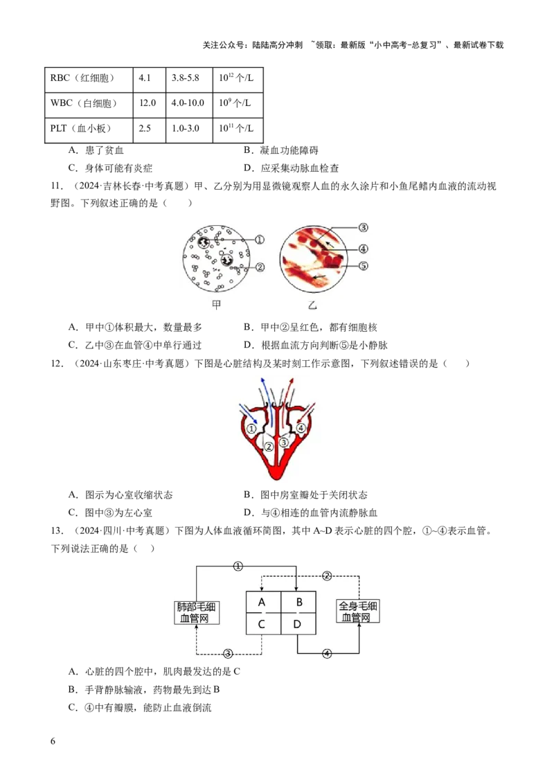 主题五人体生理与健康（讲练）（原卷版）_02中考总复习（2026版更新中）_08-生物-中考总复习_2025中考复习资料_2025中考二轮课件ppt+讲义+练习生物_讲义+练习