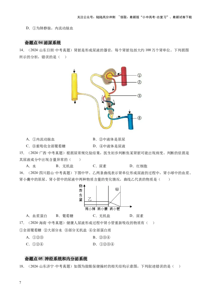 主题五人体生理与健康（讲练）（原卷版）_02中考总复习（2026版更新中）_08-生物-中考总复习_2025中考复习资料_2025中考二轮课件ppt+讲义+练习生物_讲义+练习