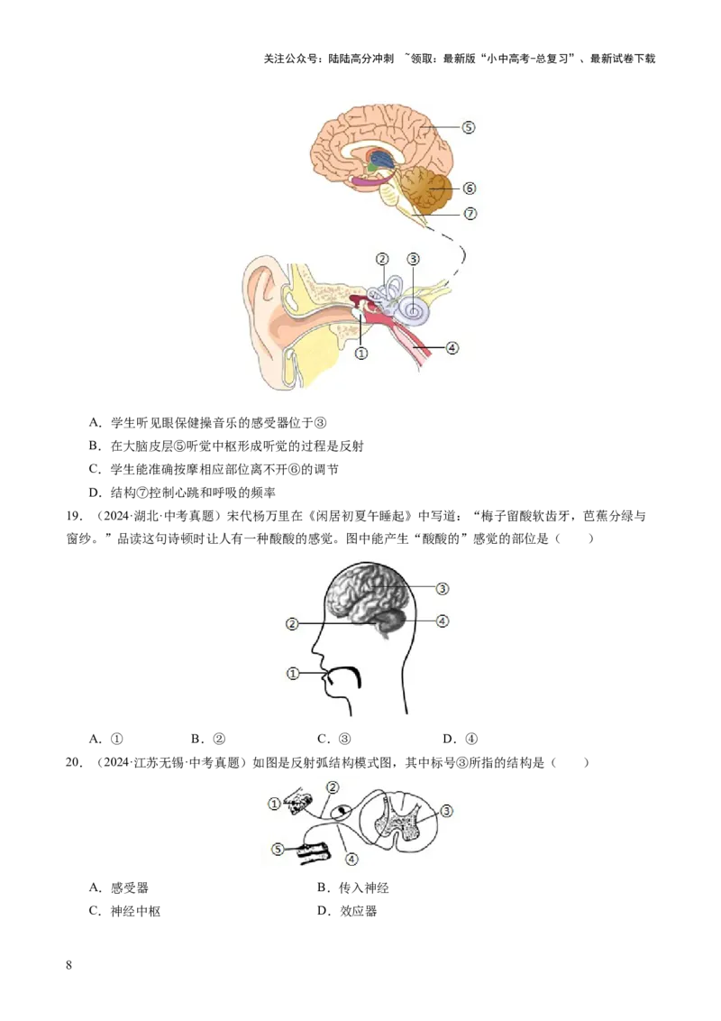 主题五人体生理与健康（讲练）（原卷版）_02中考总复习（2026版更新中）_08-生物-中考总复习_2025中考复习资料_2025中考二轮课件ppt+讲义+练习生物_讲义+练习