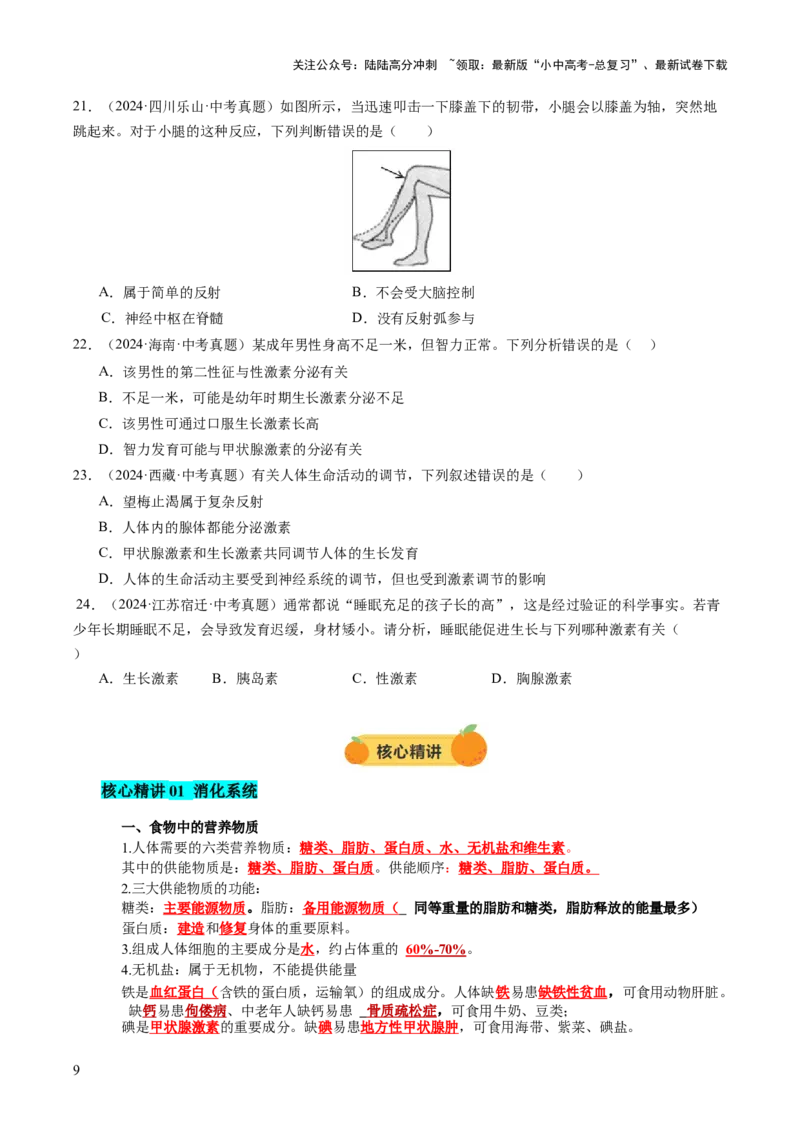 主题五人体生理与健康（讲练）（原卷版）_02中考总复习（2026版更新中）_08-生物-中考总复习_2025中考复习资料_2025中考二轮课件ppt+讲义+练习生物_讲义+练习