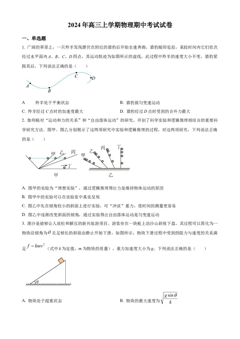 湖南省岳阳市临湘市2024-2025学年高三上学期11月期中物理试题Word版无答案_A1502026各地模拟卷（超值！）_11月_241126湖南省岳阳市临湘市2024-2025学年高三上学期11月期中考试