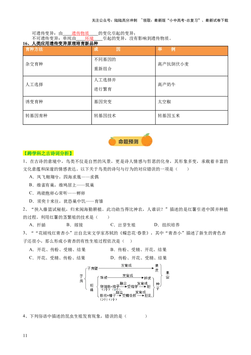 主题六遗传与进化（讲练）（原卷版）_02中考总复习（2026版更新中）_08-生物-中考总复习_2025中考复习资料_2025中考二轮课件ppt+讲义+练习生物_讲义+练习