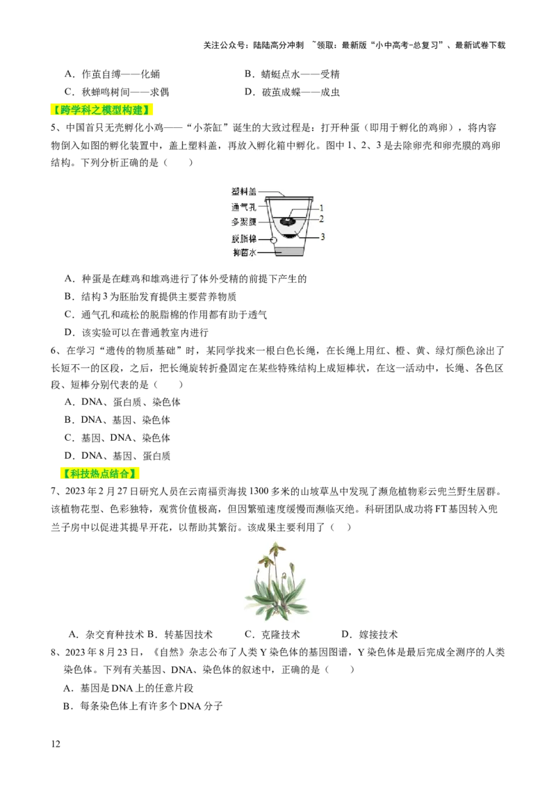 主题六遗传与进化（讲练）（原卷版）_02中考总复习（2026版更新中）_08-生物-中考总复习_2025中考复习资料_2025中考二轮课件ppt+讲义+练习生物_讲义+练习