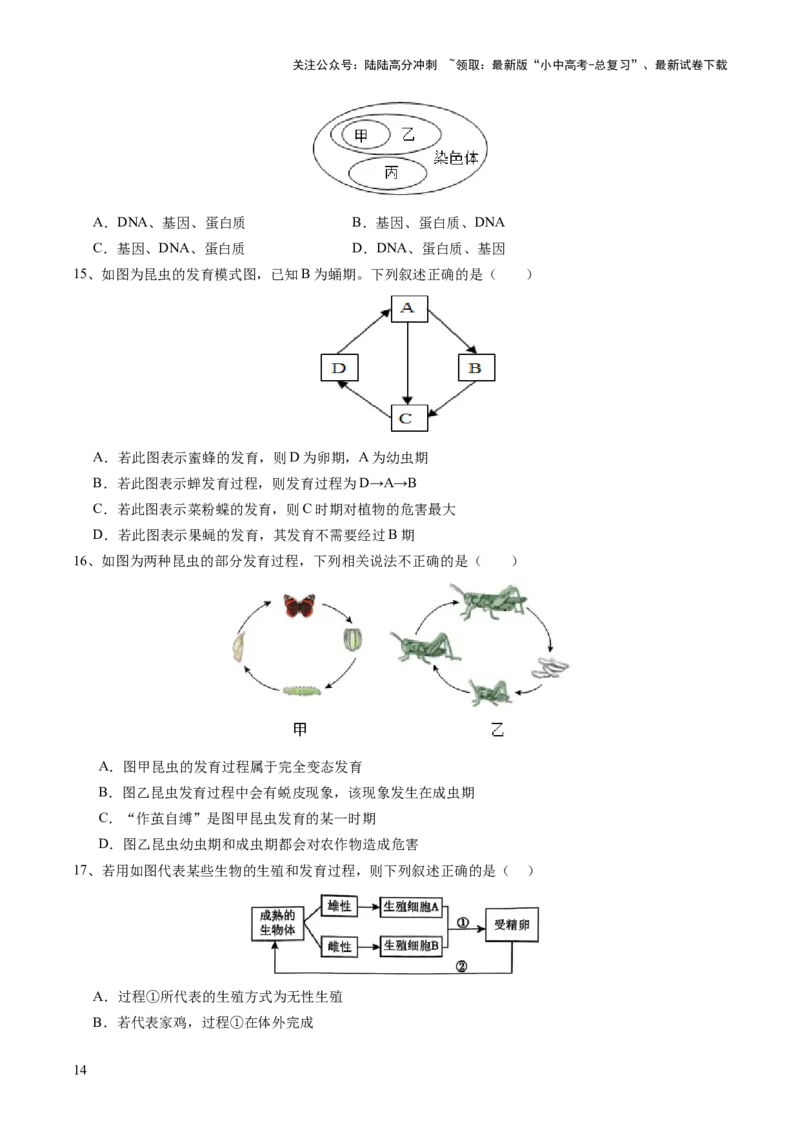 主题六遗传与进化（讲练）（原卷版）_02中考总复习（2026版更新中）_08-生物-中考总复习_2025中考复习资料_2025中考二轮课件ppt+讲义+练习生物_讲义+练习