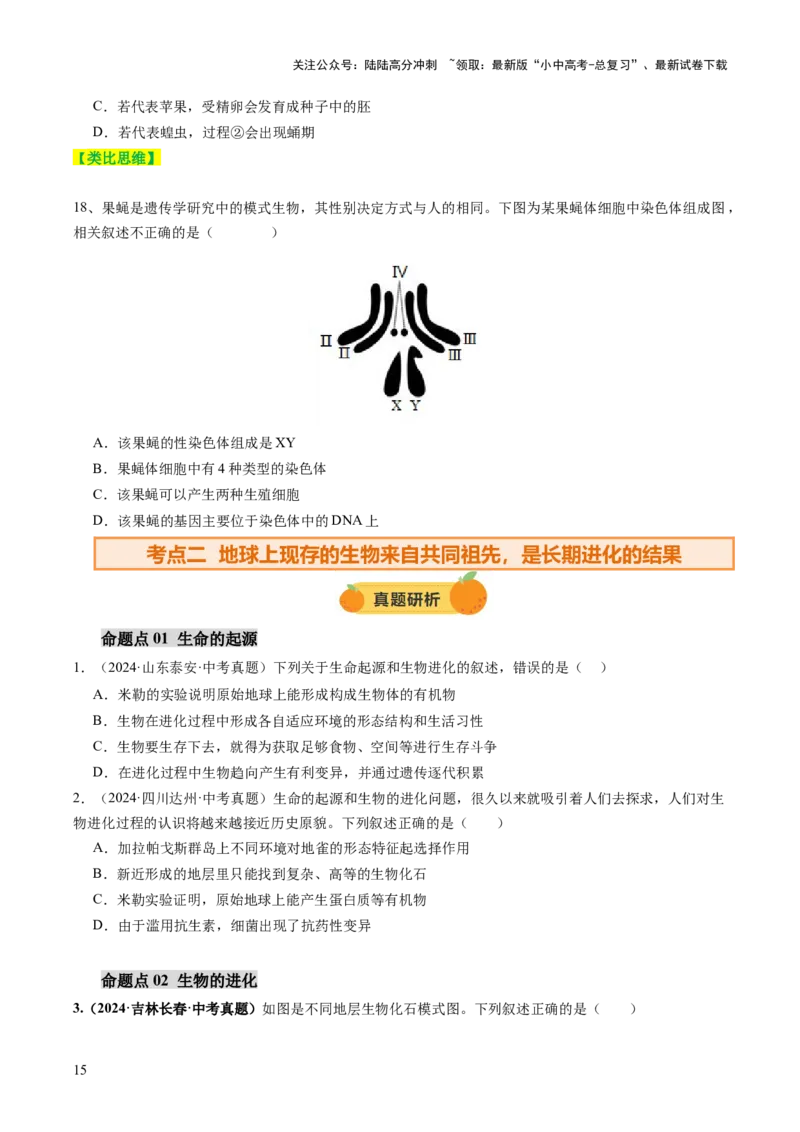 主题六遗传与进化（讲练）（原卷版）_02中考总复习（2026版更新中）_08-生物-中考总复习_2025中考复习资料_2025中考二轮课件ppt+讲义+练习生物_讲义+练习