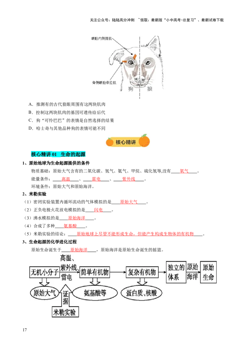 主题六遗传与进化（讲练）（原卷版）_02中考总复习（2026版更新中）_08-生物-中考总复习_2025中考复习资料_2025中考二轮课件ppt+讲义+练习生物_讲义+练习