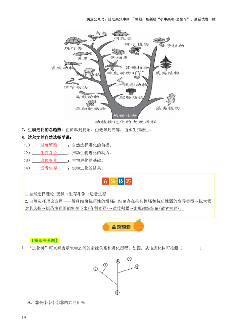 主题六遗传与进化（讲练）（原卷版）_02中考总复习（2026版更新中）_08-生物-中考总复习_2025中考复习资料_2025中考二轮课件ppt+讲义+练习生物_讲义+练习