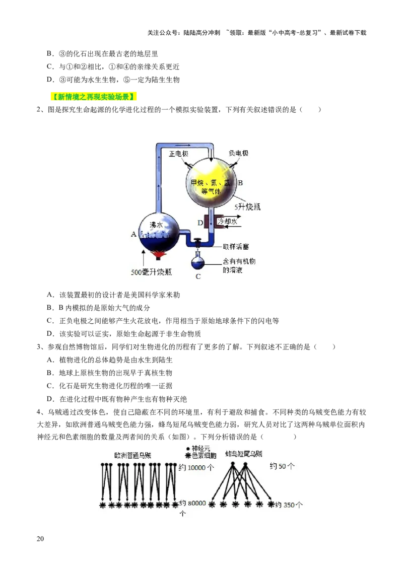 主题六遗传与进化（讲练）（原卷版）_02中考总复习（2026版更新中）_08-生物-中考总复习_2025中考复习资料_2025中考二轮课件ppt+讲义+练习生物_讲义+练习