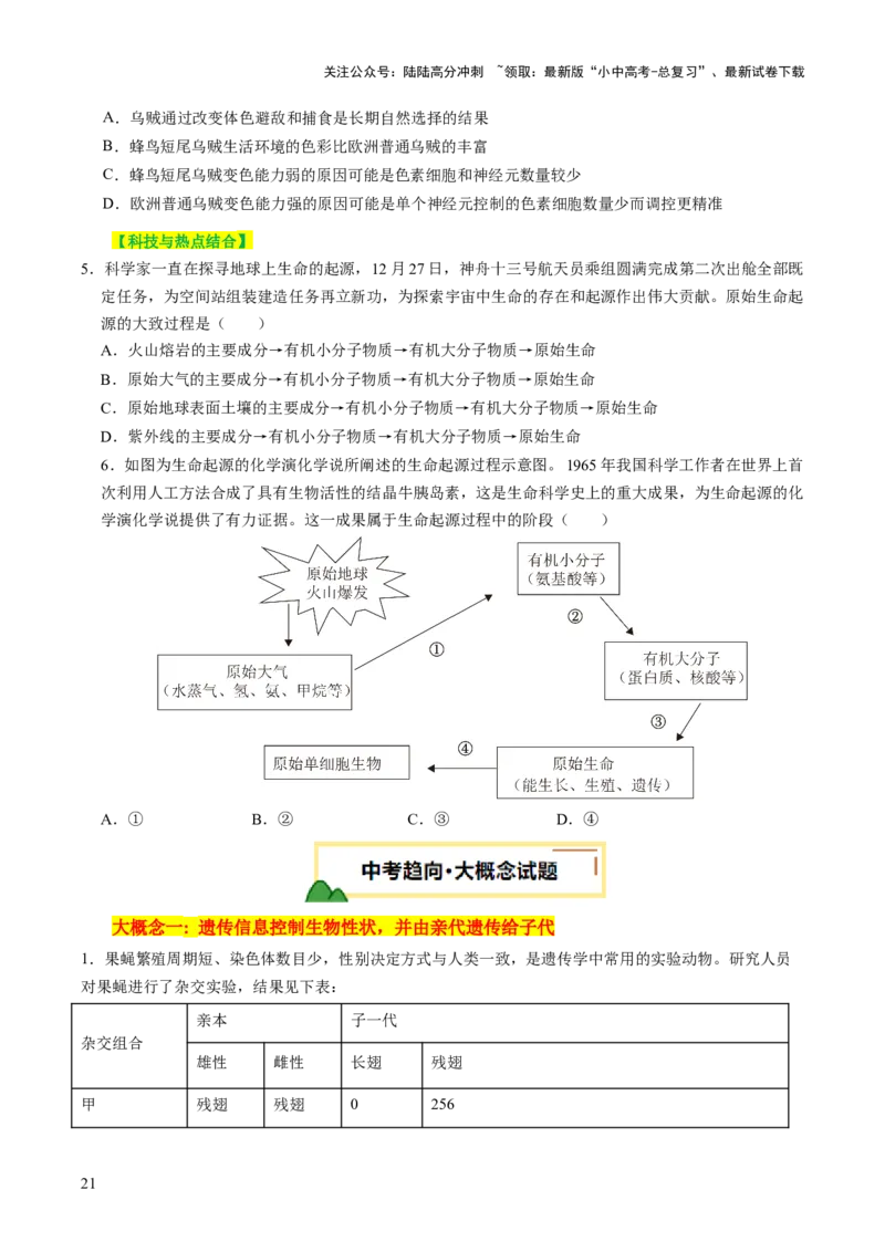 主题六遗传与进化（讲练）（原卷版）_02中考总复习（2026版更新中）_08-生物-中考总复习_2025中考复习资料_2025中考二轮课件ppt+讲义+练习生物_讲义+练习