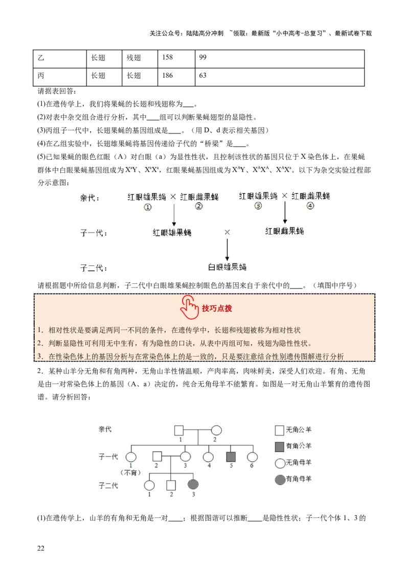 主题六遗传与进化（讲练）（原卷版）_02中考总复习（2026版更新中）_08-生物-中考总复习_2025中考复习资料_2025中考二轮课件ppt+讲义+练习生物_讲义+练习