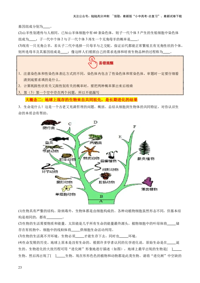 主题六遗传与进化（讲练）（原卷版）_02中考总复习（2026版更新中）_08-生物-中考总复习_2025中考复习资料_2025中考二轮课件ppt+讲义+练习生物_讲义+练习