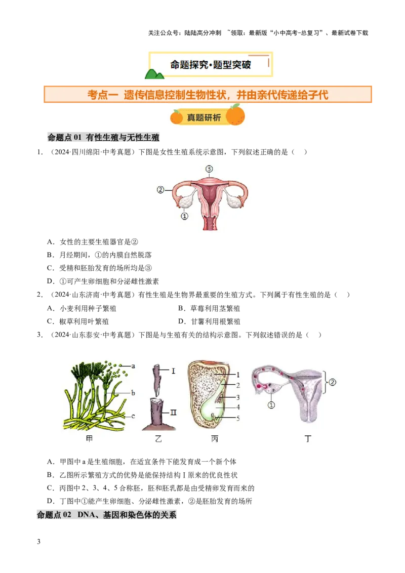 主题六遗传与进化（讲练）（原卷版）_02中考总复习（2026版更新中）_08-生物-中考总复习_2025中考复习资料_2025中考二轮课件ppt+讲义+练习生物_讲义+练习